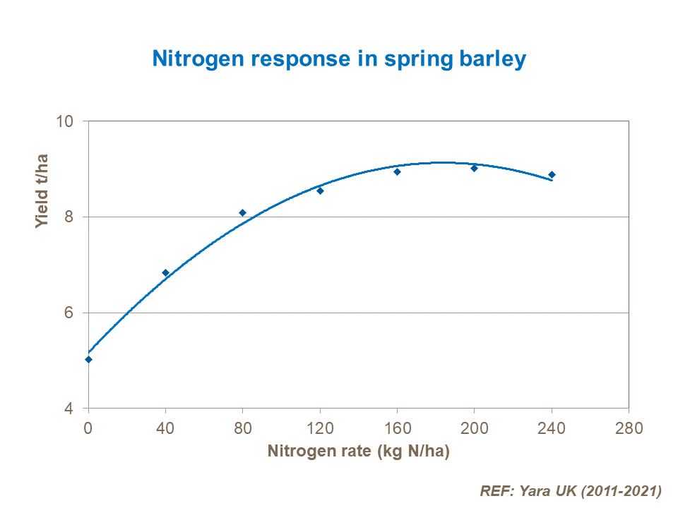 Nitrogen response of spring barley