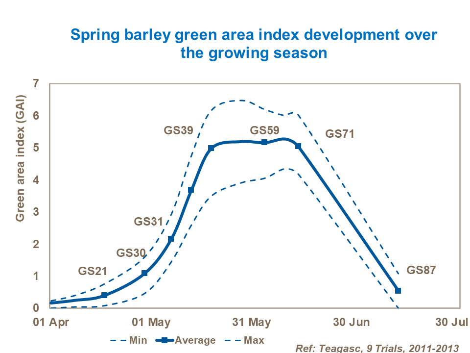 Spring barley green area index development over the growing season