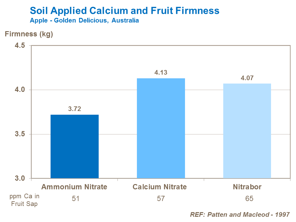 Soil Applied Calcium and Fruit Firmness