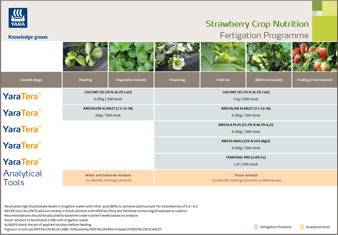 Strawberries fertigation programme