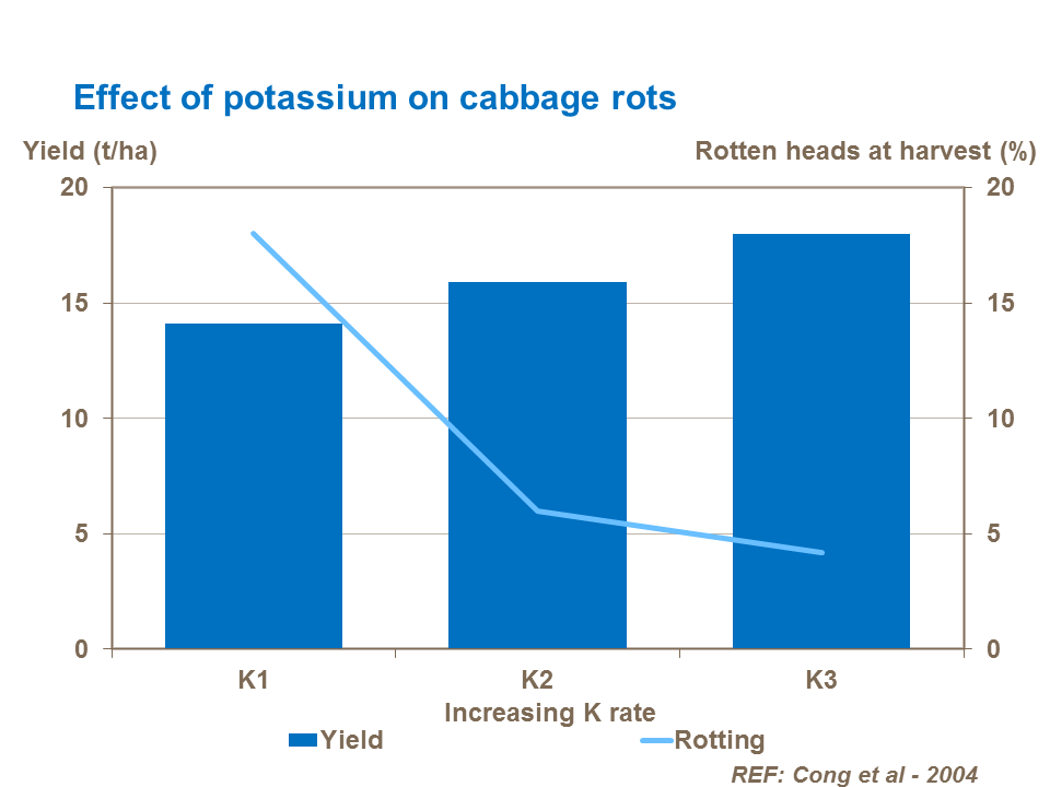 Potassium yield response in leafy brassicas