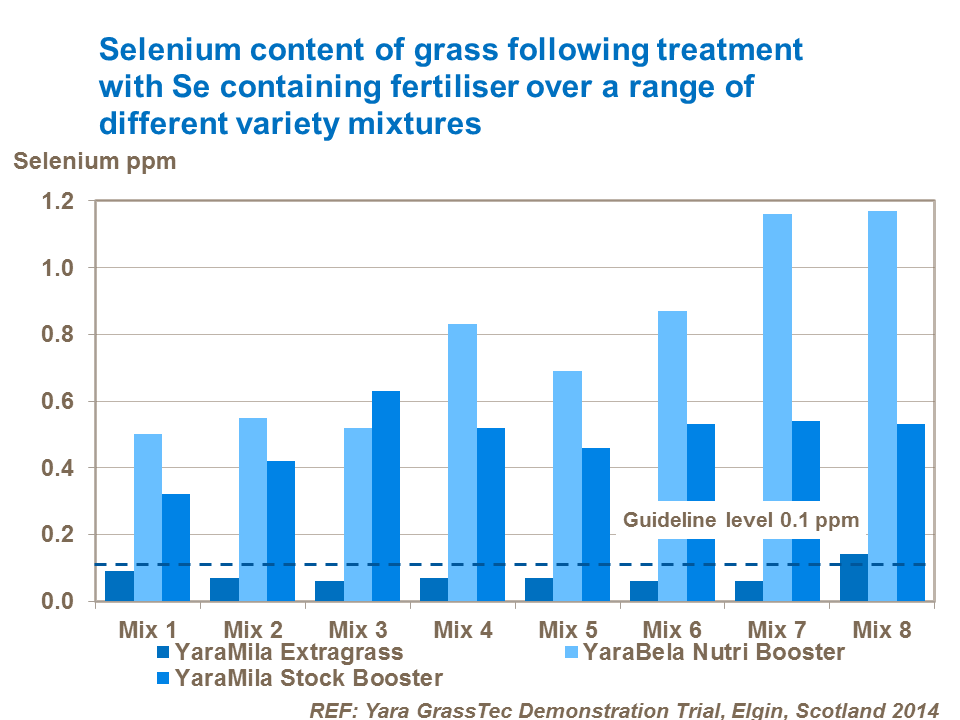 Selenium content of grass following treatment with Se containing fertiliser over a range of different variety mixtures Stock Booster
