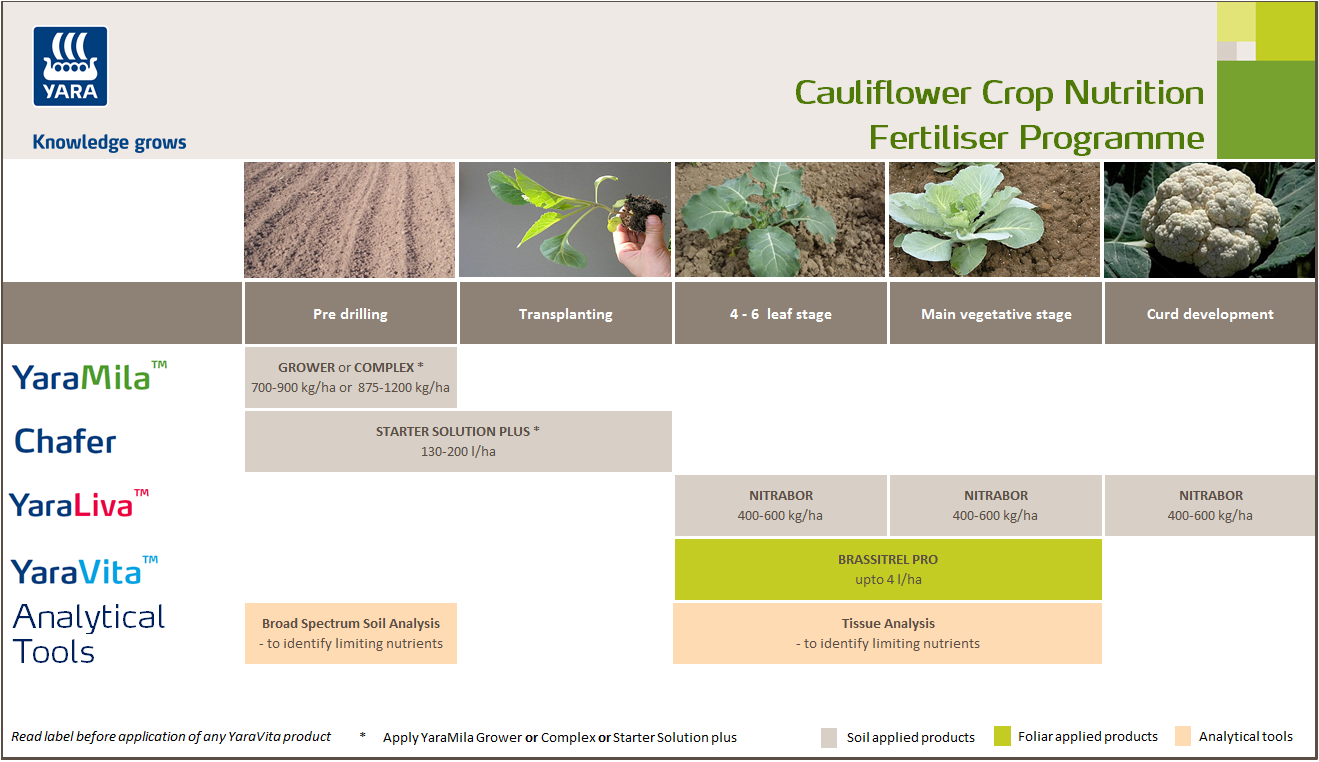 Cauliflower fertiliser programme