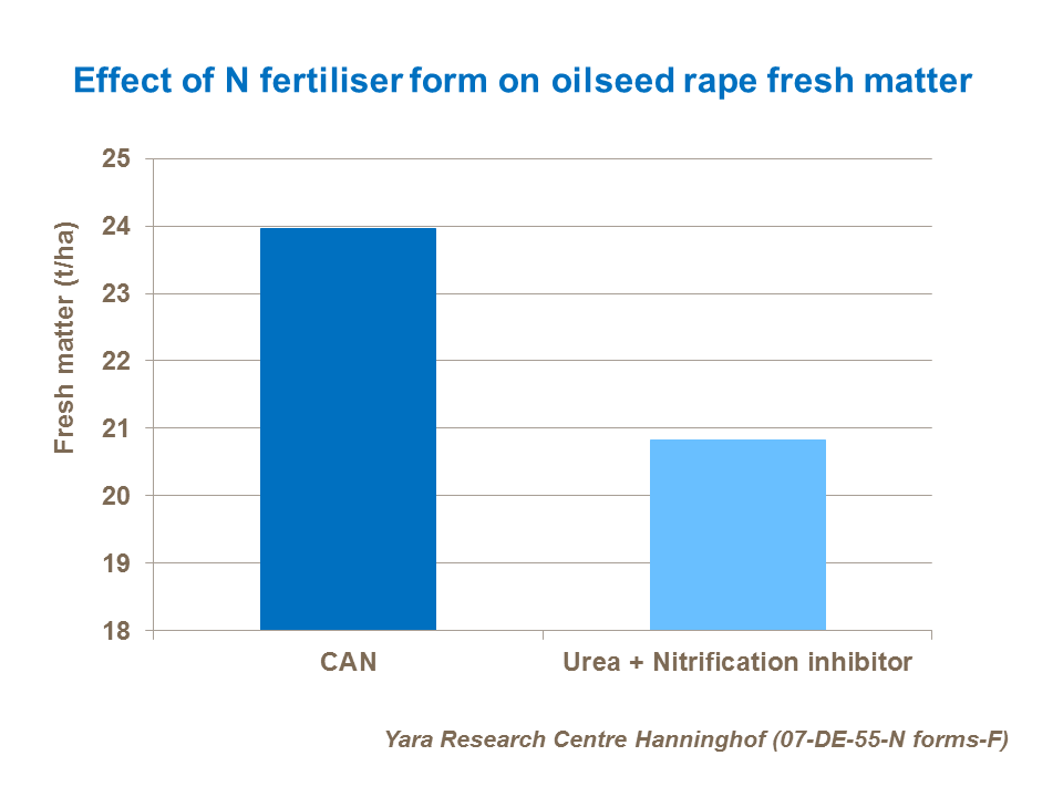 Effect of N fertiliser form on oilseed rape fresh matter