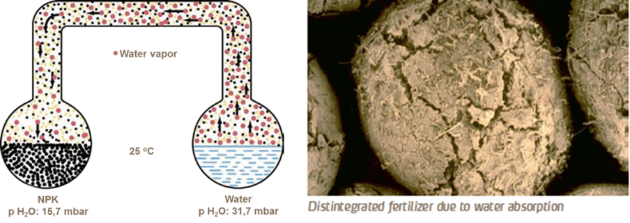 image describing hygroscopicity