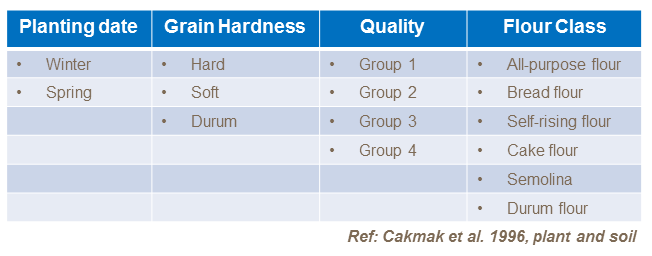 Wheat classification