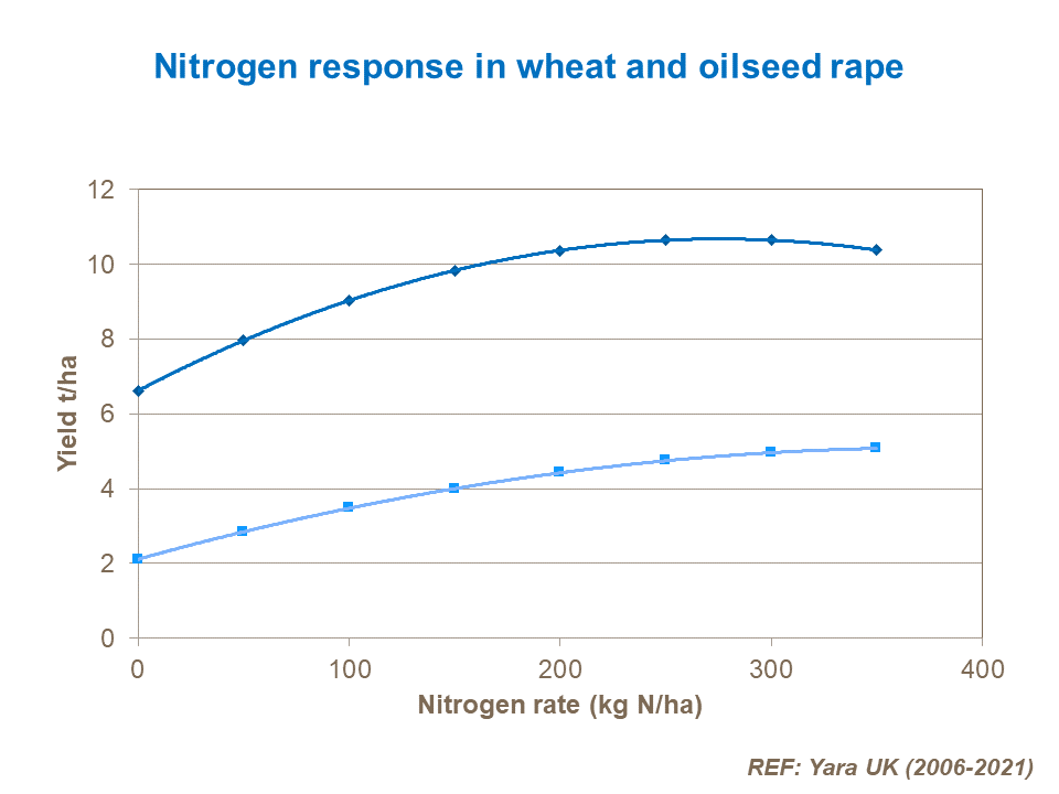 Nitrogen response in wheat and oilseed