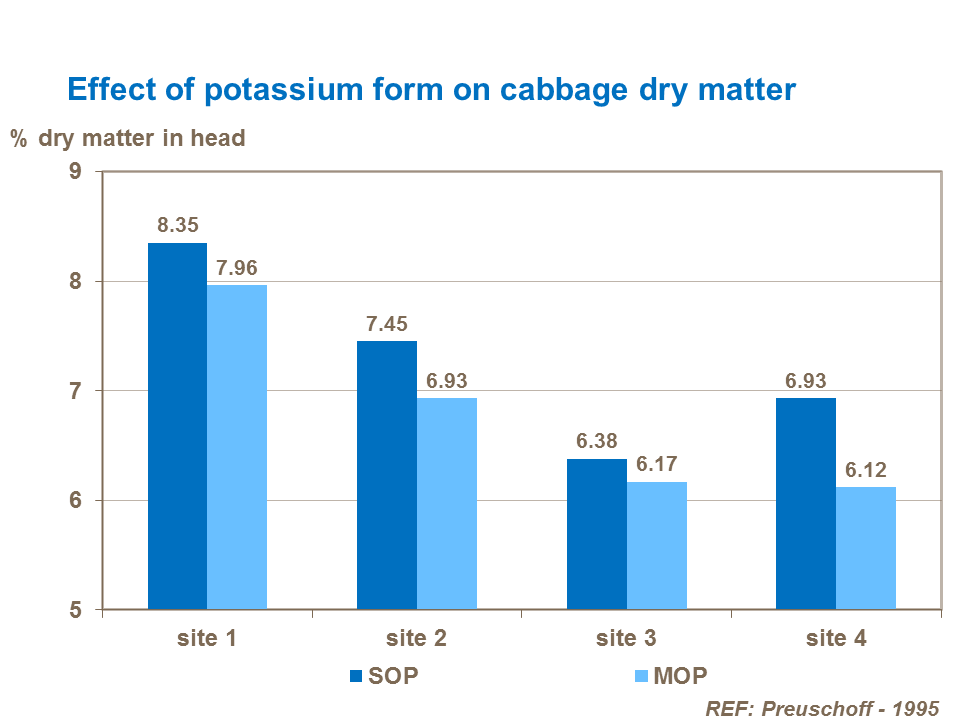 Effect of potassium form on cabbage dry matter