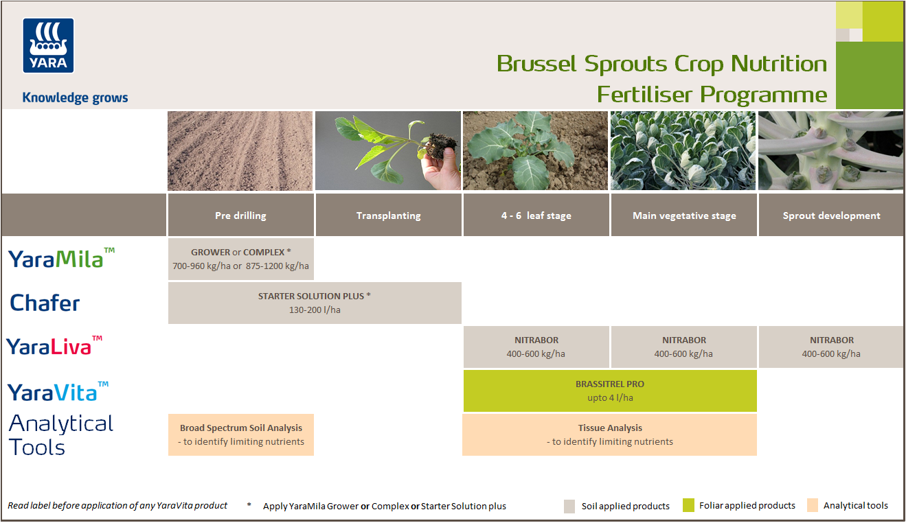 Brussel sprouts crop nutrition programme