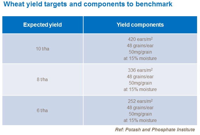 Wheat yield component targets