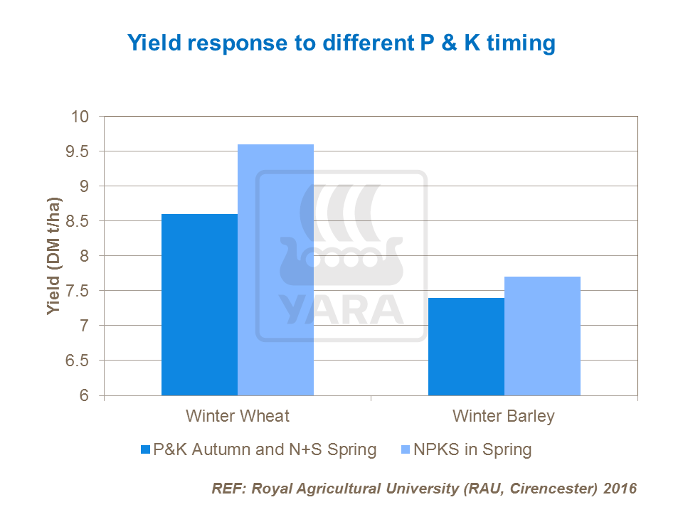 Yield response to differnt P & K timing