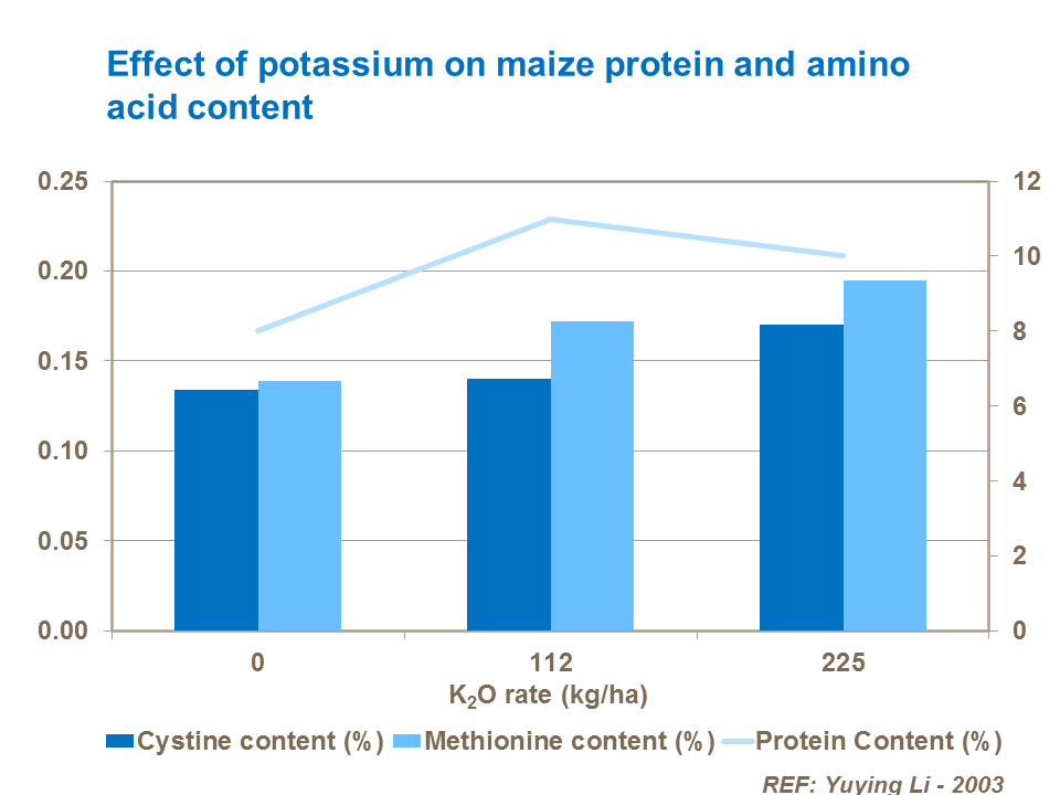 Effect of potassium on maize protein and amino acid content
