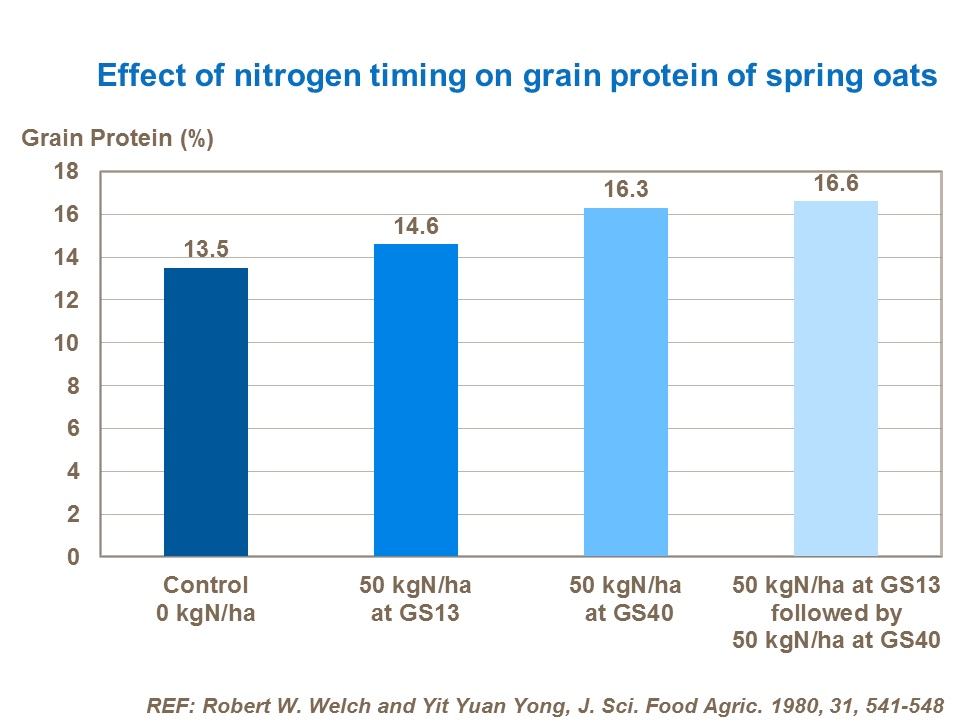 Effect of nitrogen timing on grain protein of spring oats