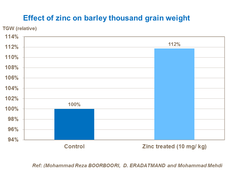 Effect of zinc on barley thousand grain weight