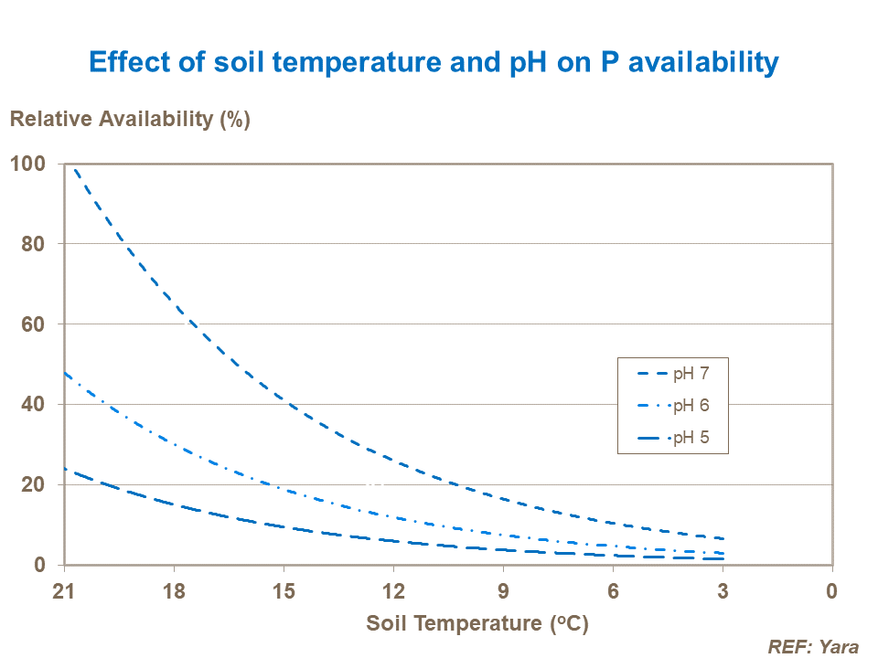 Effect of soil temperature and pH on phosphate availability