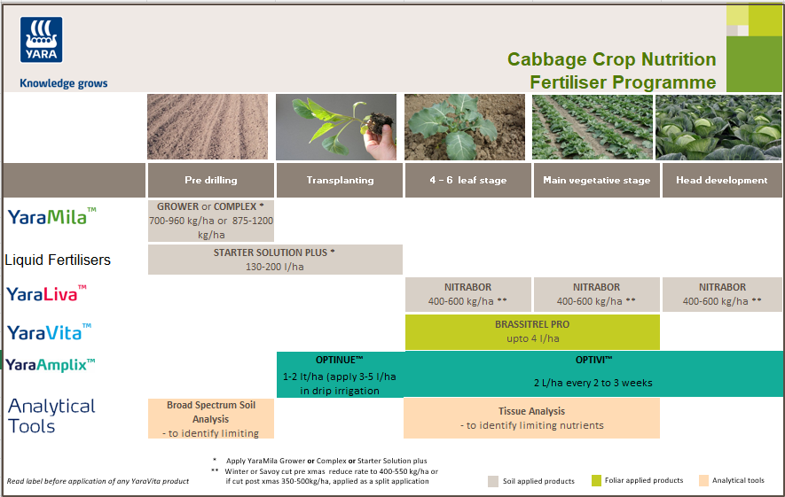 Cabbage fertiliser programme